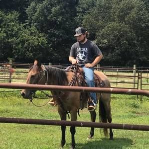 Meet your Posher, Carlton